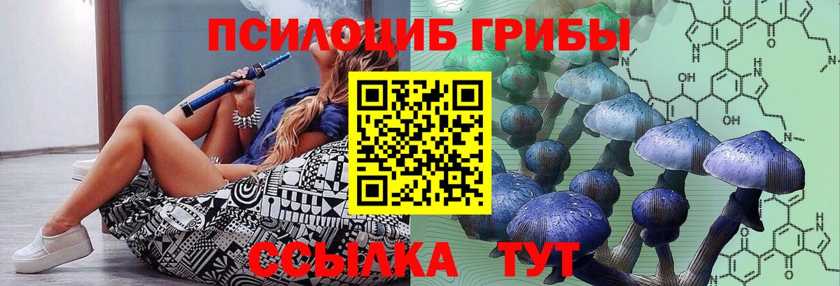 Галлюциногенные грибы MAGIC MUSHROOMS  Галлюциногенные грибы MAGIC MUSHROOMS  Чебоксары  Вход с VPN 